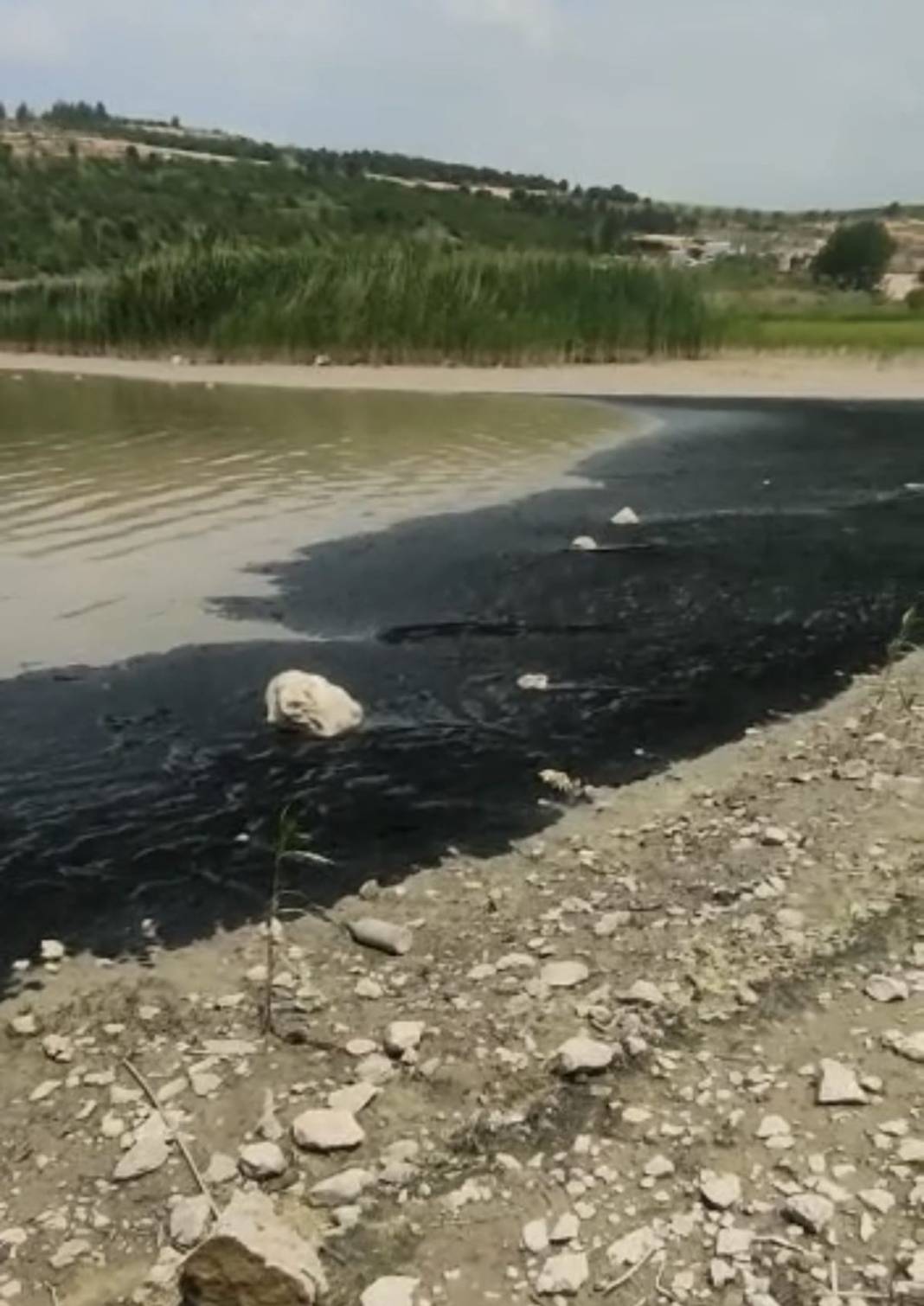 Bu ildeki tarım alanları tehlikede! Yetkililer uyardı, sonuçlar gelene kadar balık dahi tutmayın 2